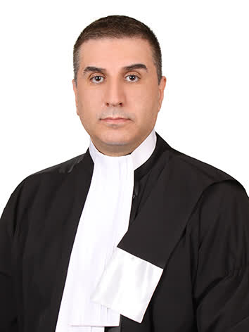 Dr. Ahmadreza Moini, Iranian law expert witness